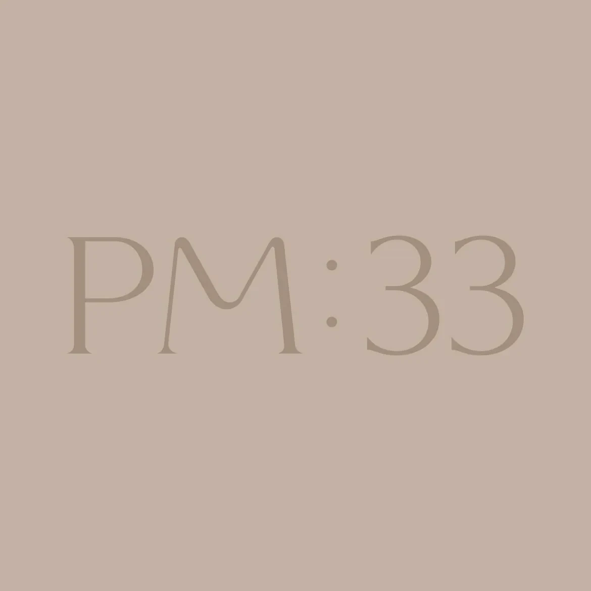 PM33